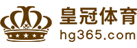 Logo 多米体育